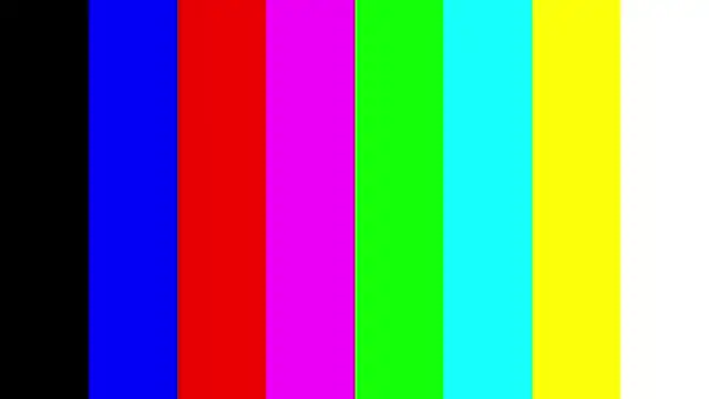 BertaForth webcam