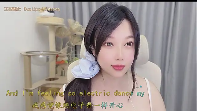 facai-feifei webcam