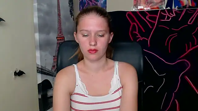 StellaCRL webcam