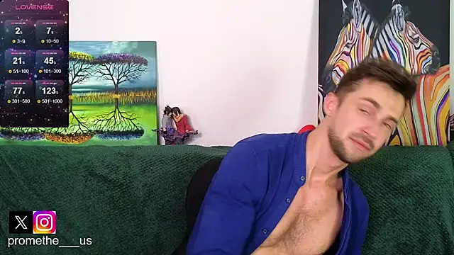 Promethe_us webcam