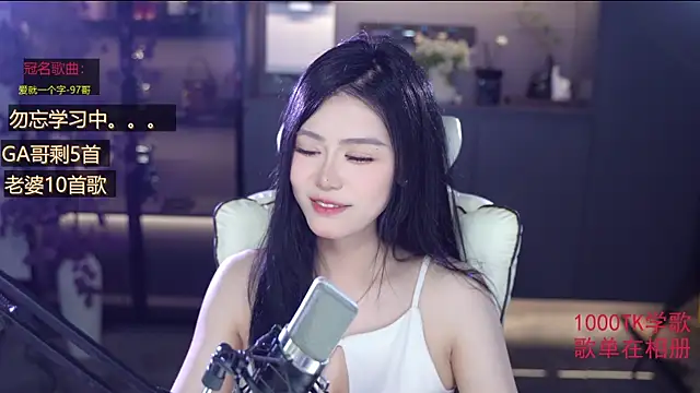 Seraphinei webcam