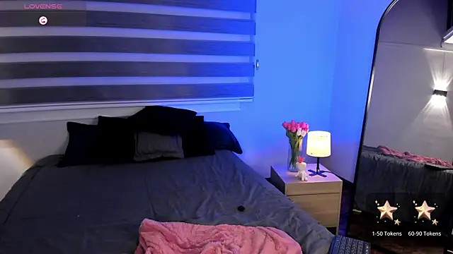 MERIDA_TAYLOR webcam