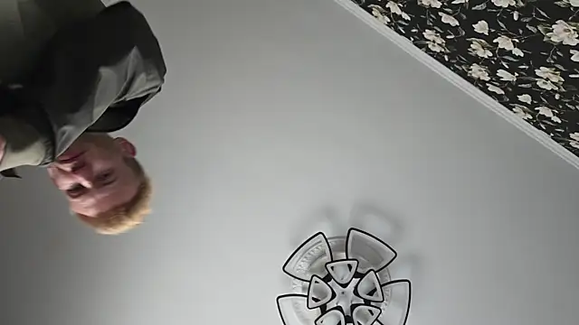 Vuitton webcam