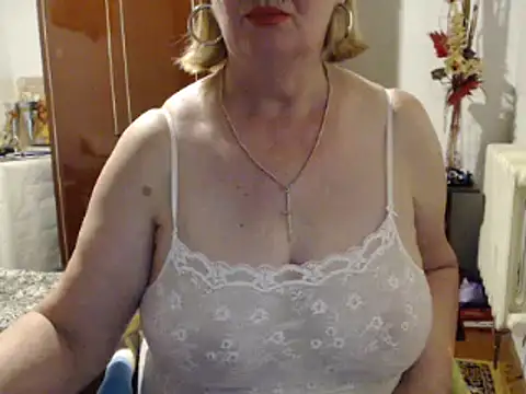 Secretfox webcam