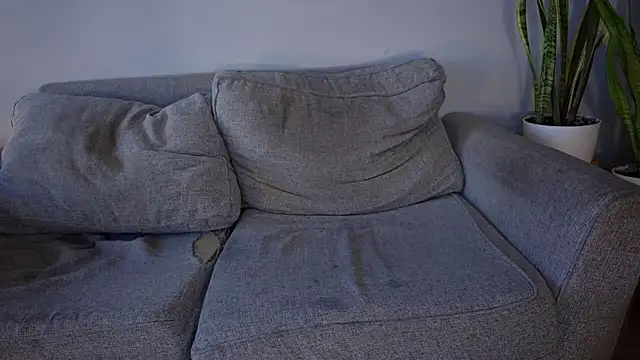 phranof_ webcam