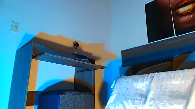 Mila_cams1_ webcam