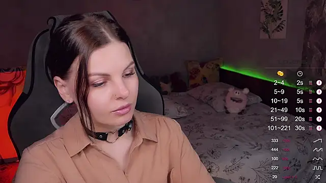 Alaska_ya webcam