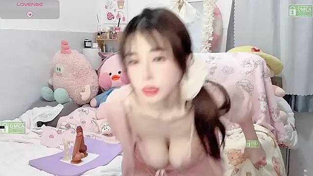 Yoyo_520 webcam