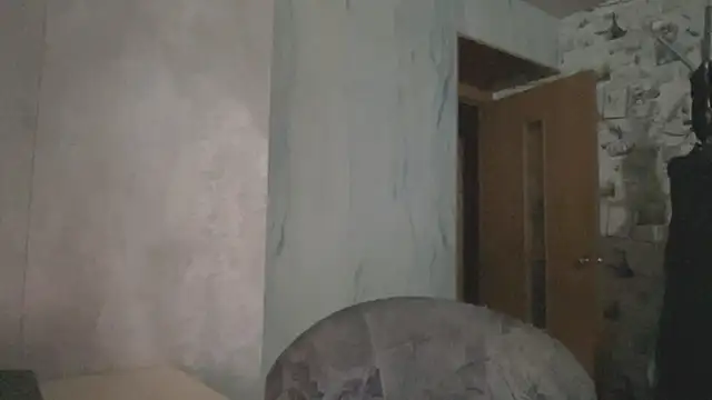 Leifuture webcam