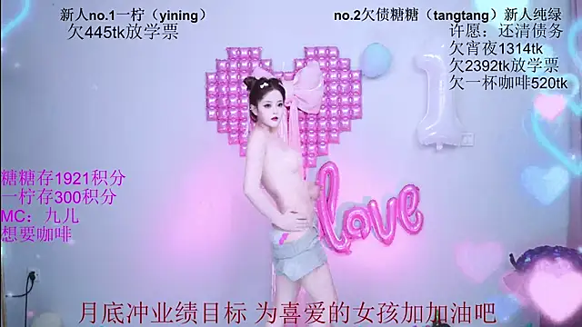 CCTW-100 webcam