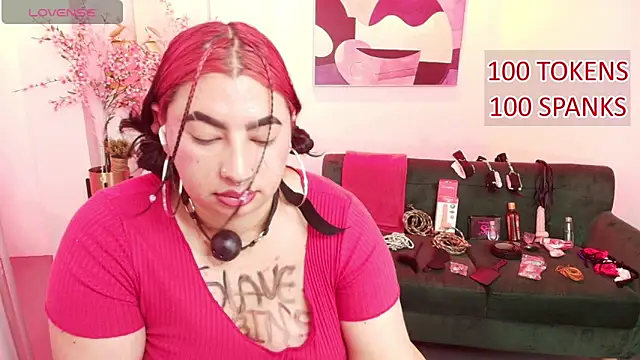 Raven_velmont webcam