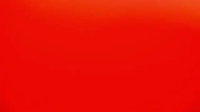 dina_ellis1 webcam