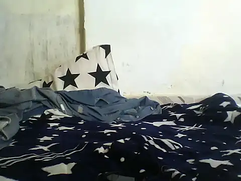saraswee webcam