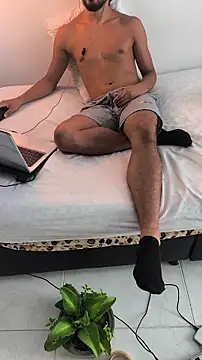 Portandome webcam