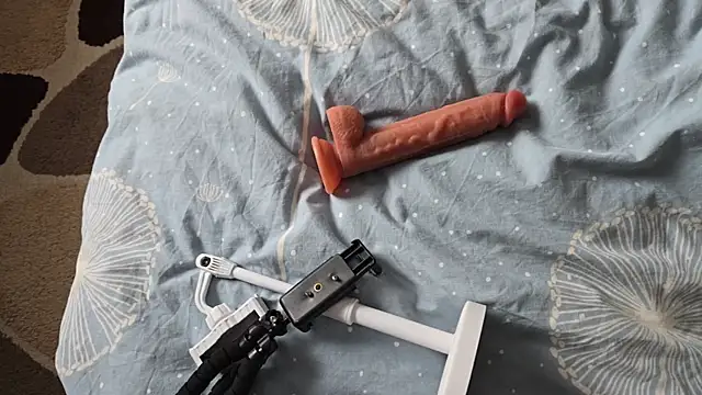 Vuitton webcam