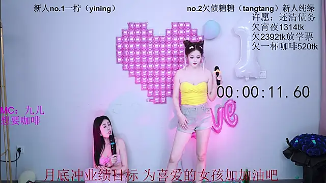 CCTW-100 webcam