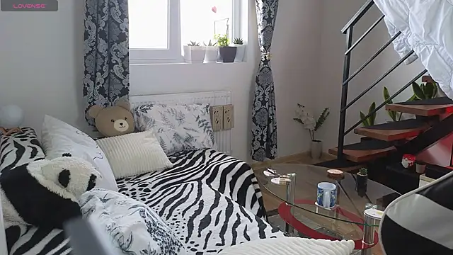 RyanStorm_ webcam