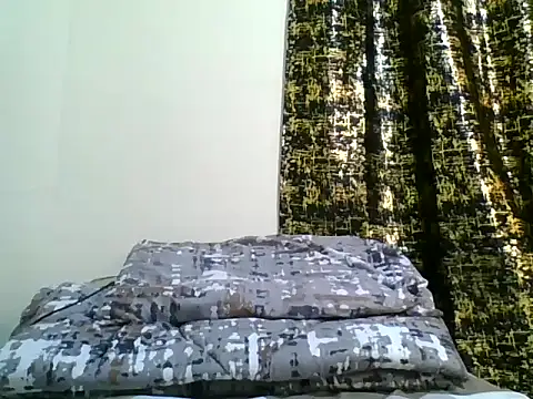 berry_machine webcam