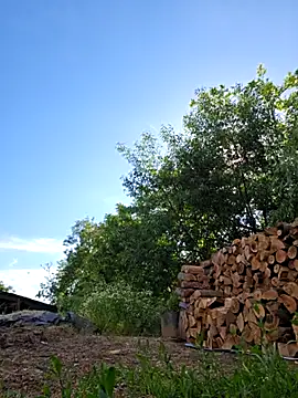 IsabelleCraft webcam