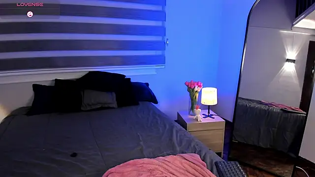 MERIDA_TAYLOR webcam