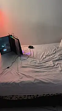 Portandome webcam