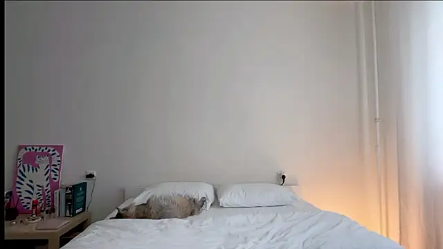 Milky___Way webcam