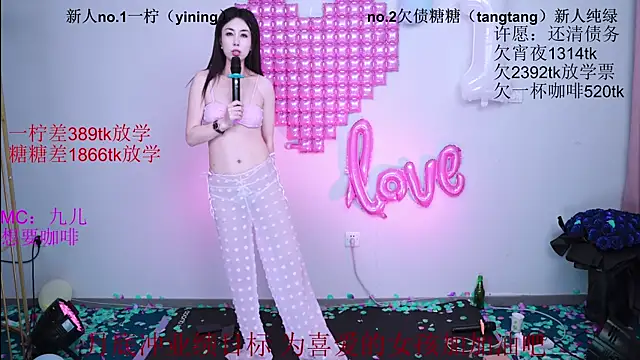 CCTW-100 webcam