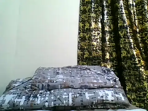 berry_machine webcam