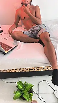 Portandome webcam