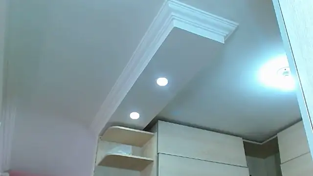 big--boss webcam