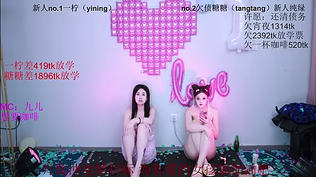 CCTW-100 webcam