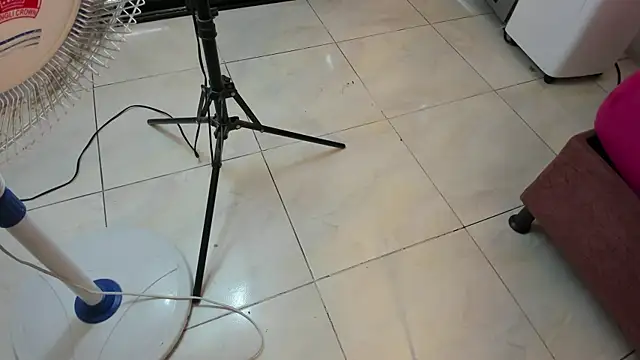 lau_hotfox webcam