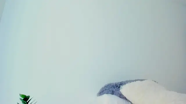 andyylove_jk webcam