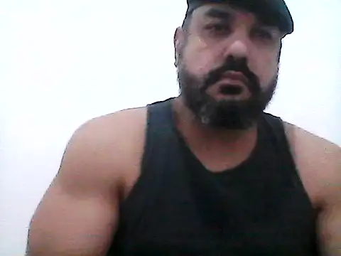 stallony webcam