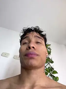 NelModel1 webcam
