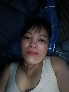 Sana-vn webcam