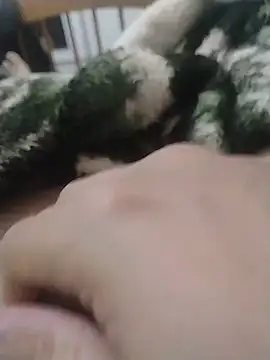 BigSafado webcam