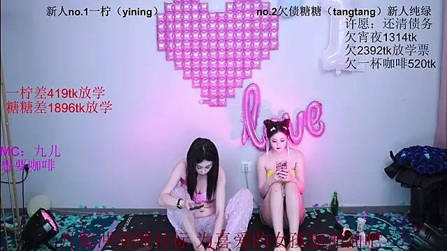 CCTW-100 webcam
