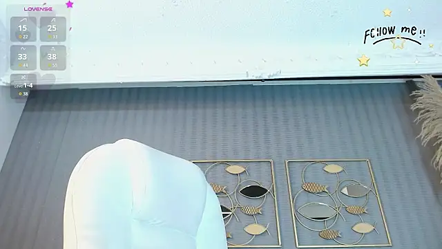 aria_li webcam