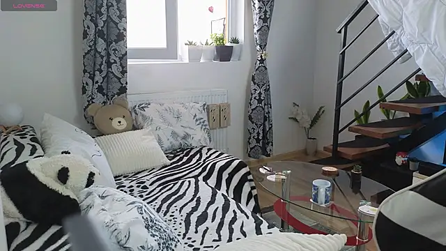 RyanStorm_ webcam