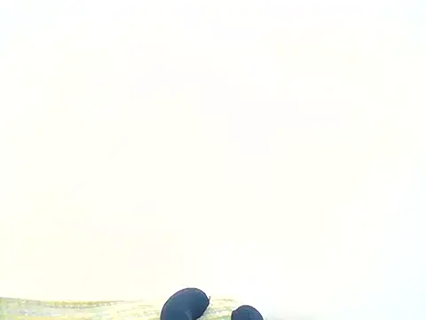mellow_smoke webcam