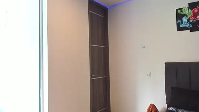 Dominiofit webcam