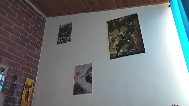PaulDamico webcam