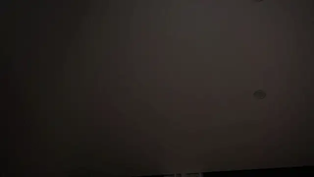 AlesiaPeasel webcam