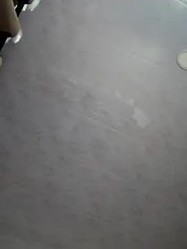 Iris_lee webcam