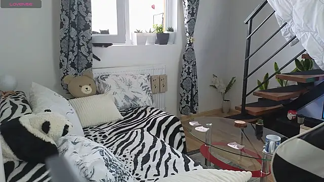 RyanStorm_ webcam