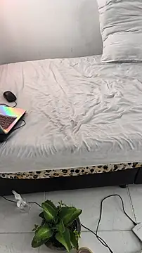 Portandome webcam