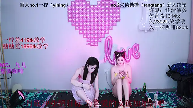 CCTW-100 webcam