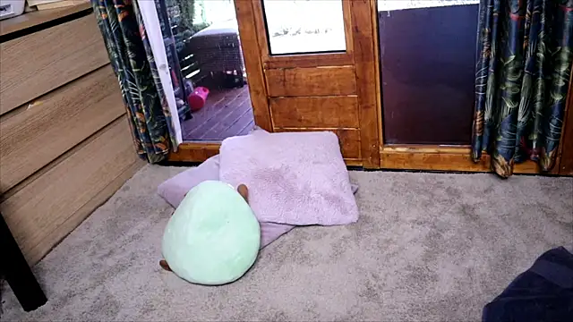LittleMe97 webcam