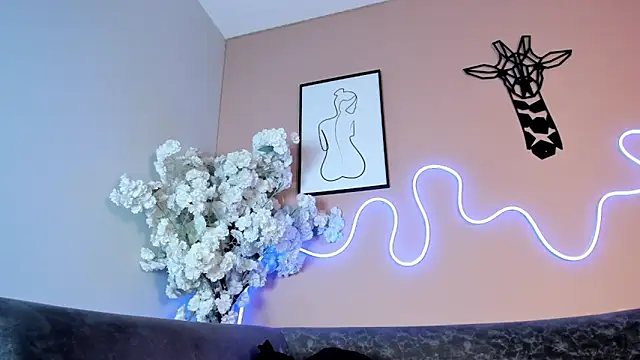 karo_linee1 webcam